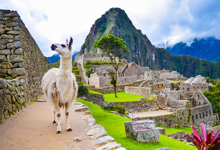 Travel to Machu Pichu From Cusco