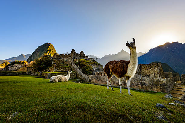 Machu Picchu Montaña de Colores 2 dias